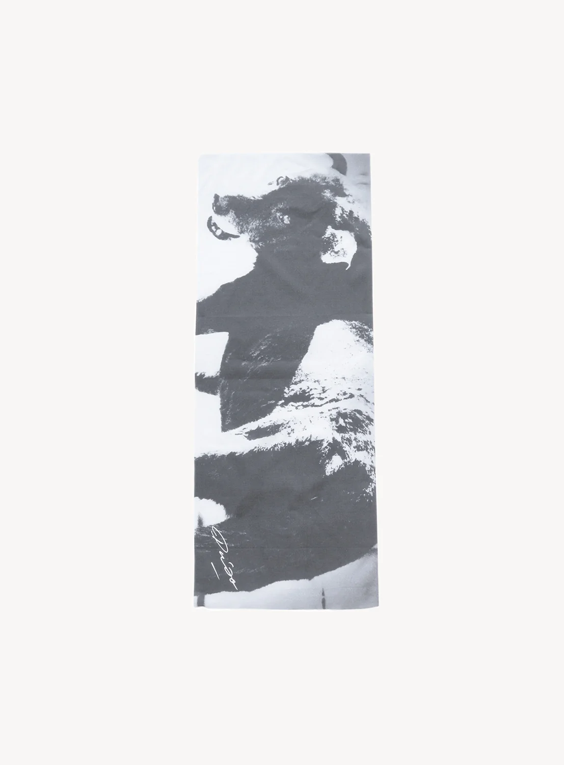 Daido Moriyama Tenugui Towel