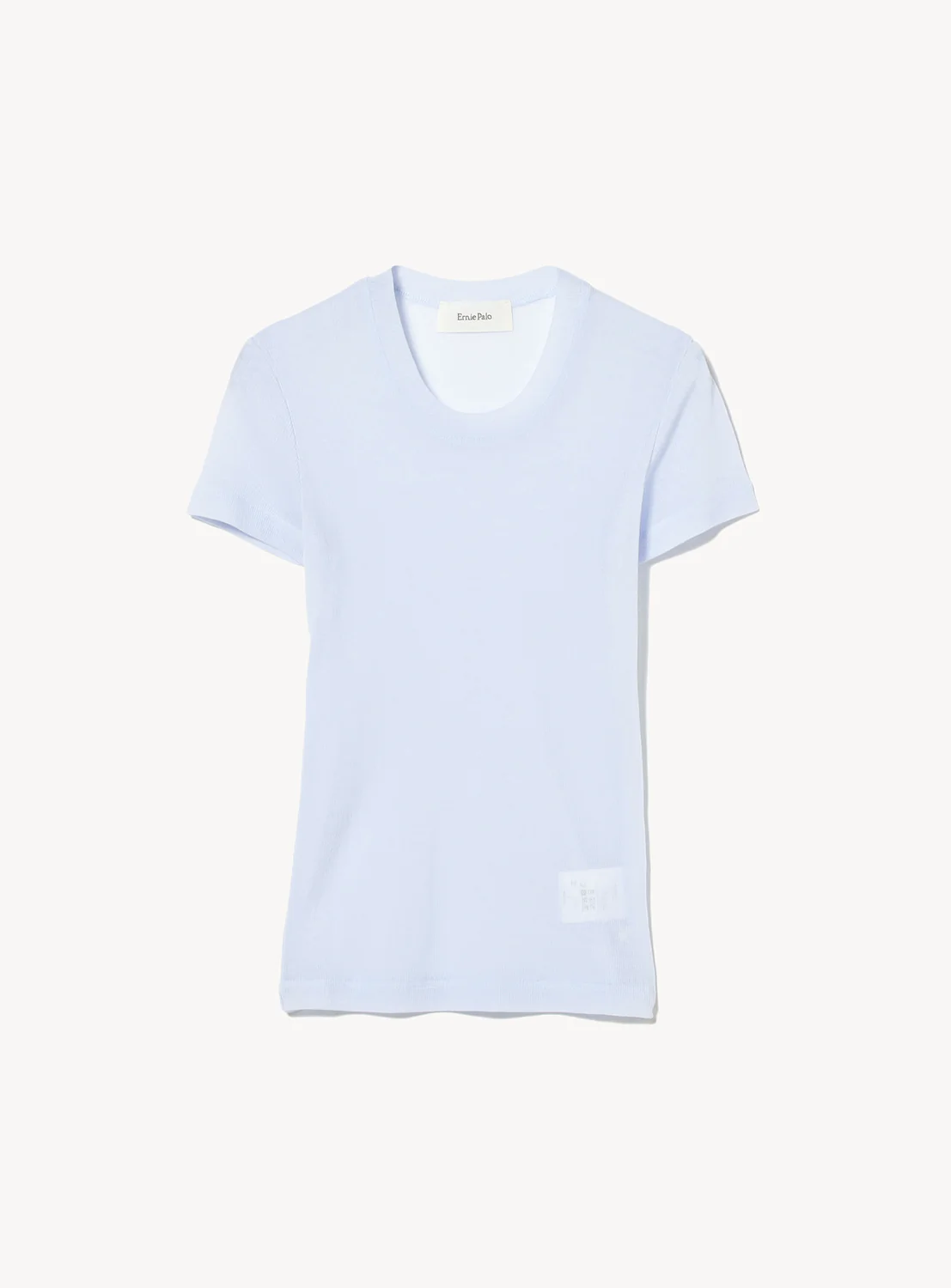 Sheer T-Shirt