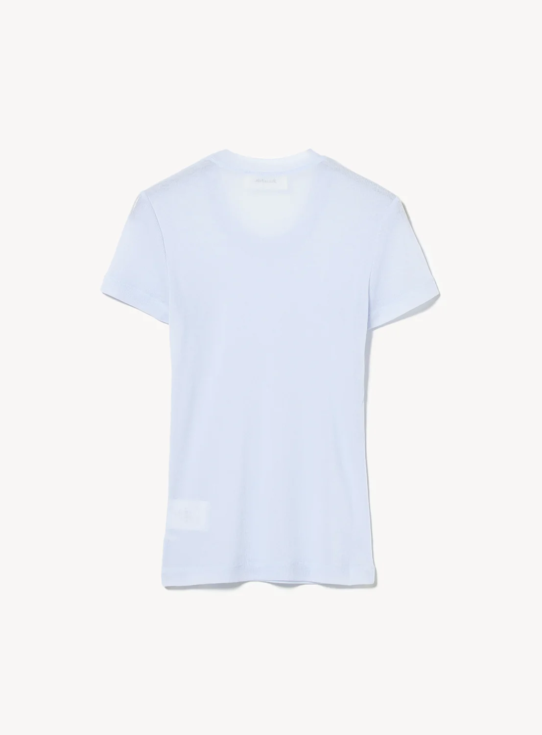 Sheer T-Shirt