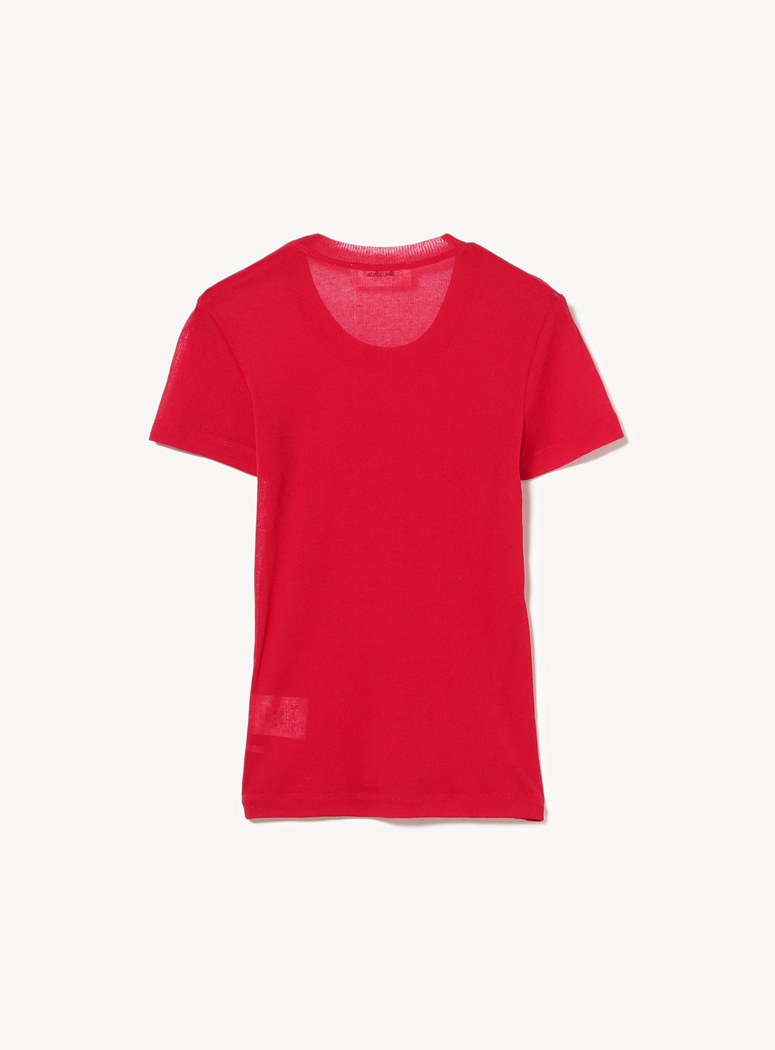 Sheer T-Shirt